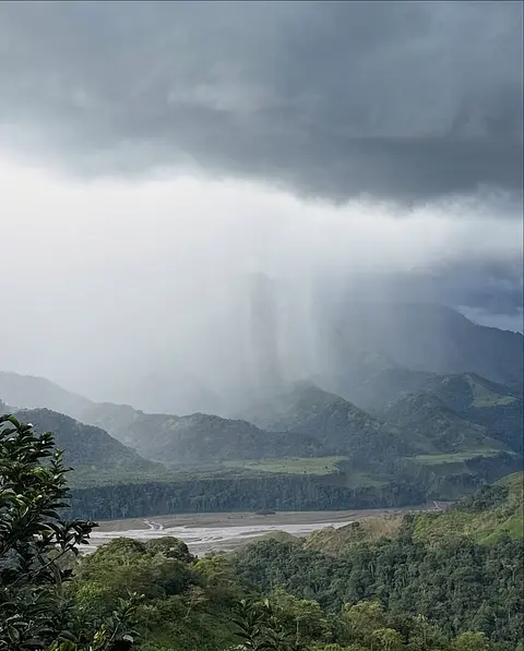 Momentos en Nuestra Finca Cafetera